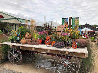 fall wagon display