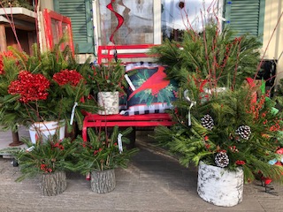 Red chair with various Christmas decoration plants