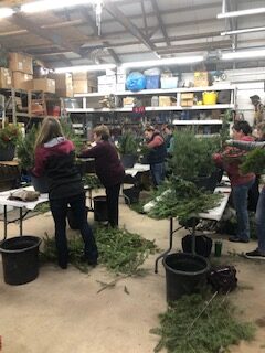 People working with Christmas trees