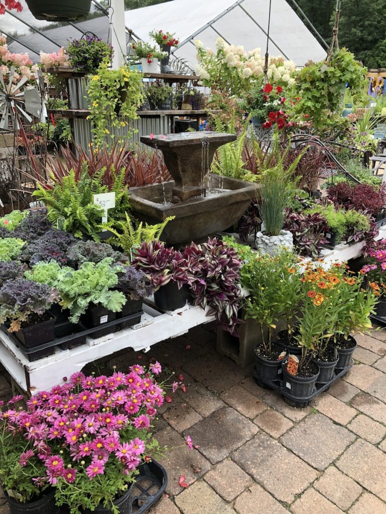 fountain and potted plants nursery display