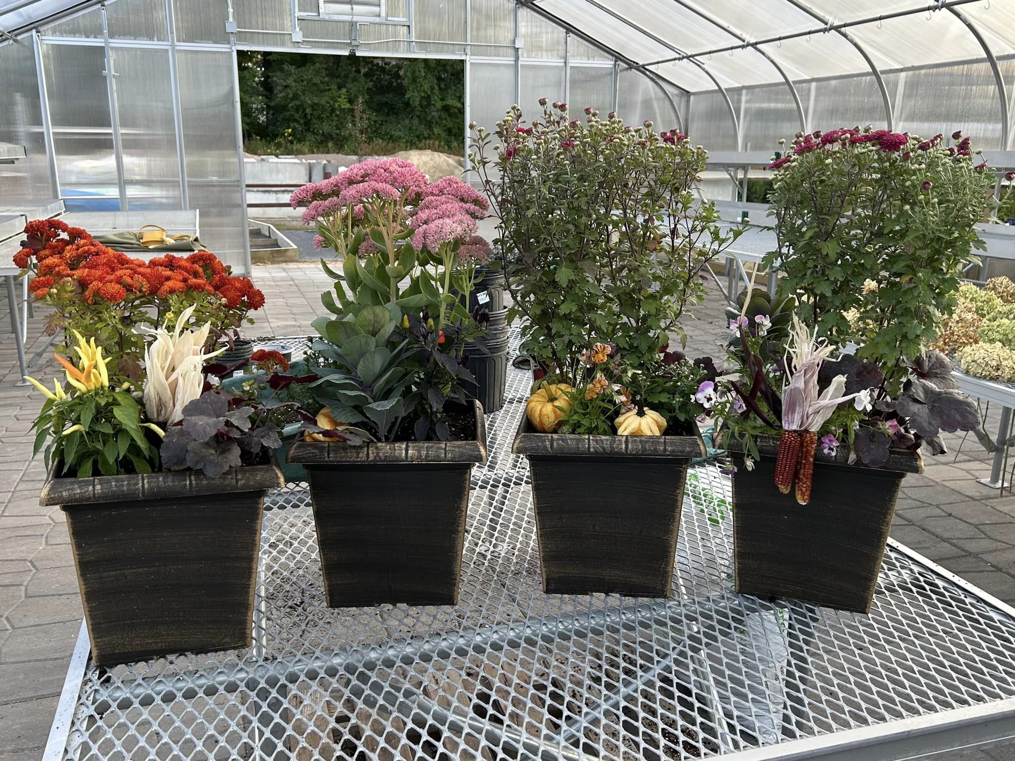 potted plant arrangements in the Shawano Lawn & Stone greenhouse